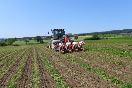 Streifenfrässaat Mais